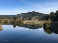 The Russian River at Duncans Mills, CA
