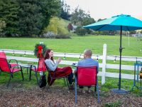 Sophie’s Cellars Wine Bar