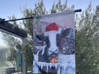 Sophie’s Cellars Wine Bar