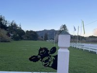 Sophie’s Cellars Wine Bar