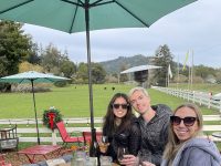 Sophie’s Cellars Wine Bar