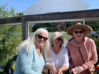 Sophie’s Cellars Wine Bar