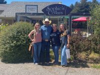 Sophie’s Cellars Wine Bar