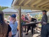 Sophie’s Cellars Wine Bar