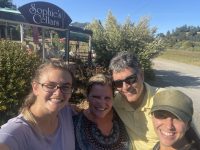 Sophie’s Cellars Wine Bar