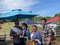 Sophie’s Cellars Wine Bar