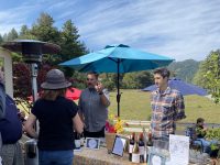 Sophie’s Cellars Wine Bar