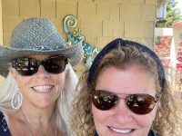 Sophie’s Cellars Wine Bar