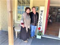 Sophie’s Cellars Wine Bar