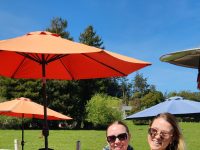 Sophie’s Cellars Wine Bar