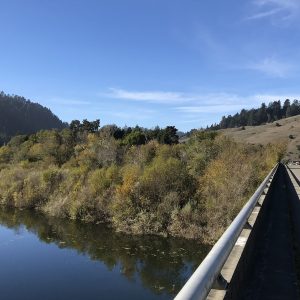 The Russian River