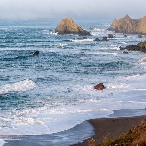 Sonoma Coast State Park